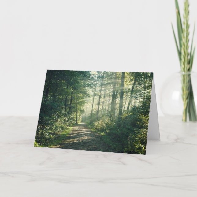 Skogar | Forest Väg Hamburg Tyskland Kort (Framsida)