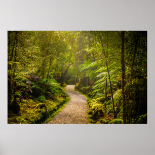Skogar   Fotväg in i skogen Poster
