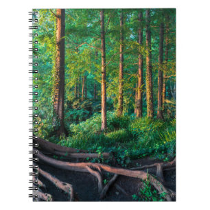 Skogar Greenery & Woodland Anteckningsbok