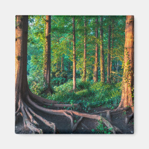 Skogar Greenery & Woodland Magnet