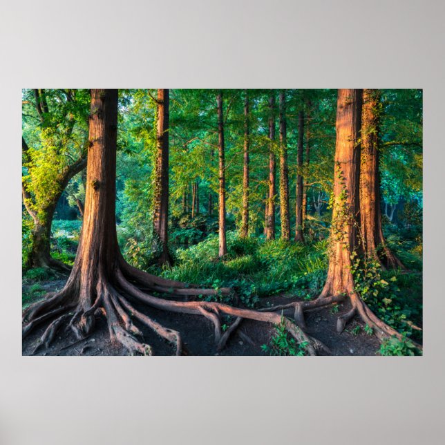 Skogar | Greenery & Woodland Poster (Framsidan)