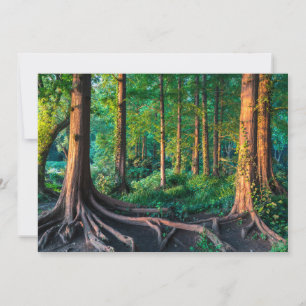Skogar Greenery & Woodland Tack Kort