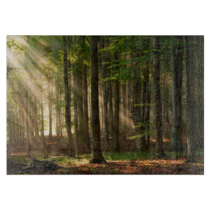 Skogar Höstskog