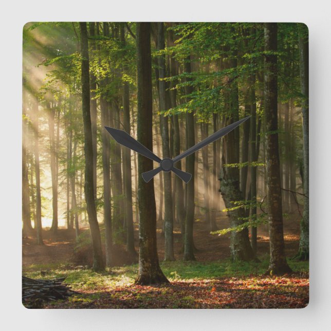 Skogar | Höstskog Fyrkantig Klocka (Framsida)