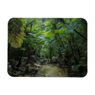 Skogar Iriomote Ishigaki nationalpark Magnet