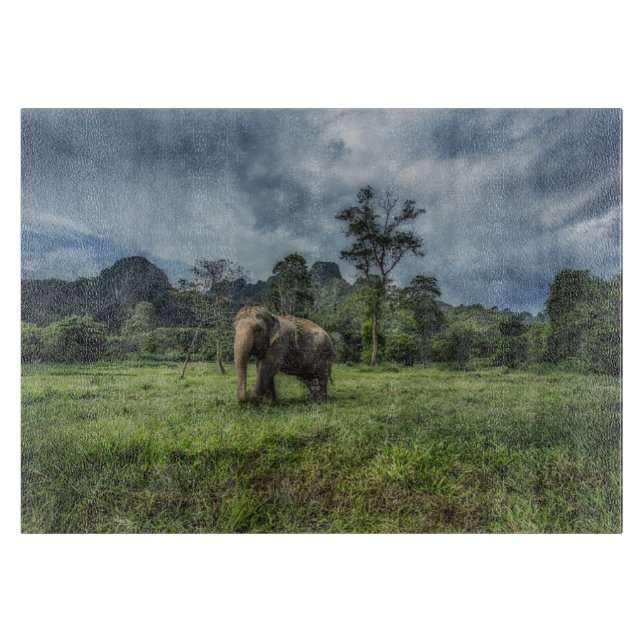 Skogar | Kao Sok nationalpark (Framsidan)
