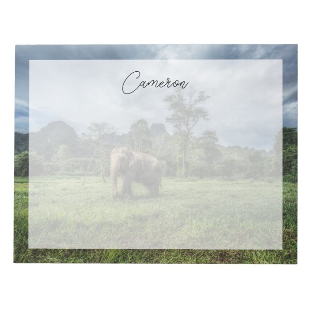 Skogar | Kao Sok nationalpark Anteckningsblock (Framsida)