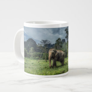 Skogar Kao Sok nationalpark Jumbo Mugg