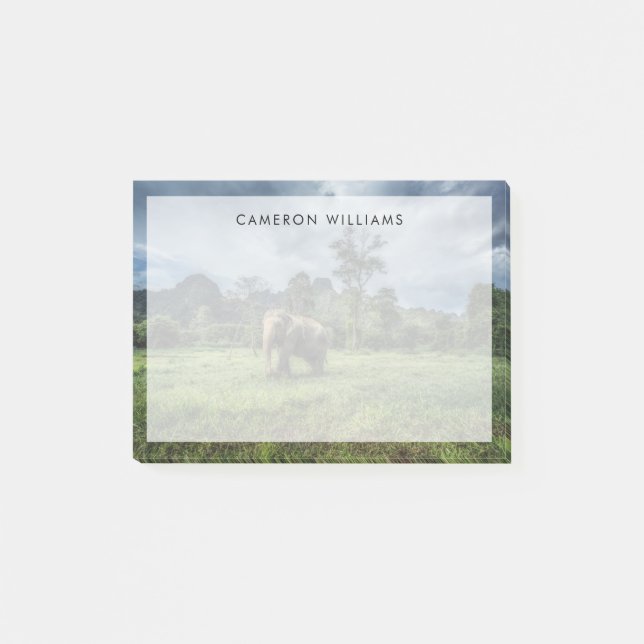 Skogar | Kao Sok nationalpark Post-it Block (Framsida)