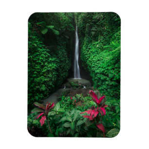 Skogar Leke Leke Waterfalls på Bali Magnet