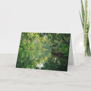Skogar Mangrove Forest Kort