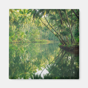 Skogar Mangrove Forest Magnet