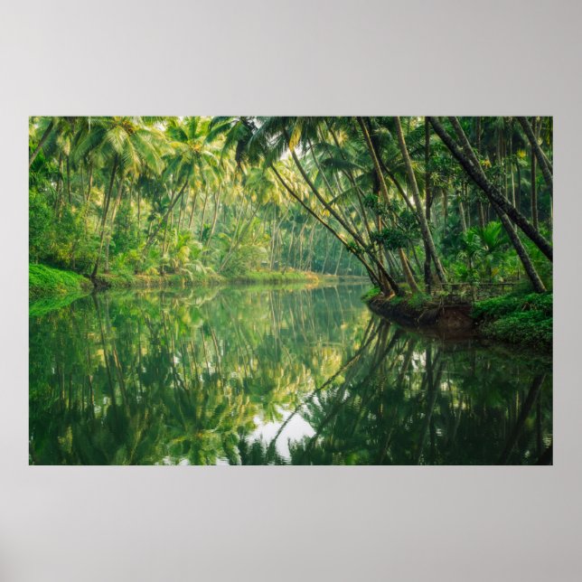 Skogar | Mangrove Forest Poster (Framsidan)
