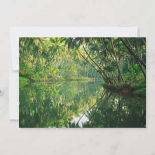Skogar Mangrove Forest Tack Kort