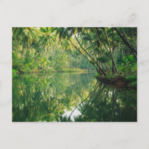 Skogar Mangrove Forest Vykort