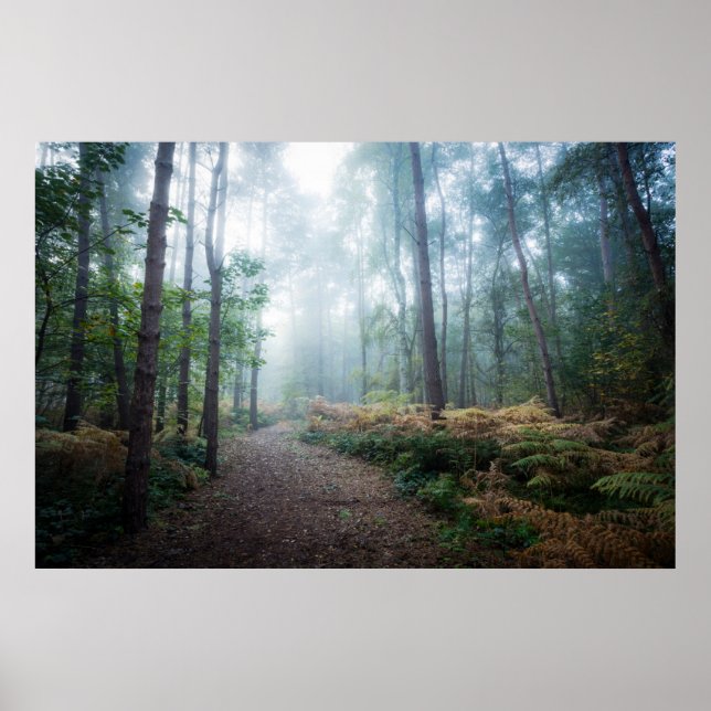 Skogar | Mörk Foggy Skogen Norfolk UK Poster (Framsidan)