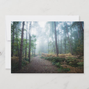 Skogar Mörk Foggy Skogen Norfolk UK Tack Kort