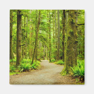 Skogar Nationalpark i Olympiska spelen Magnet
