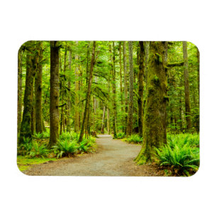 Skogar Nationalpark i Olympiska spelen Magnet