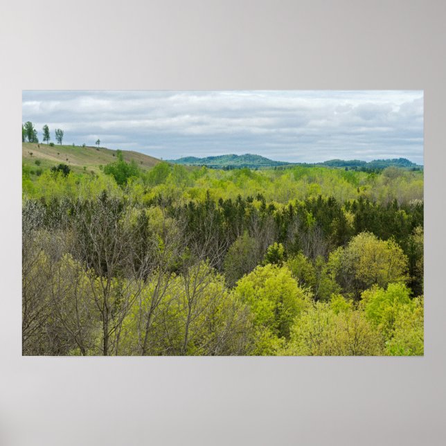 Skogar och Backe i Black River Falls Wisconsin Poster (Framsidan)