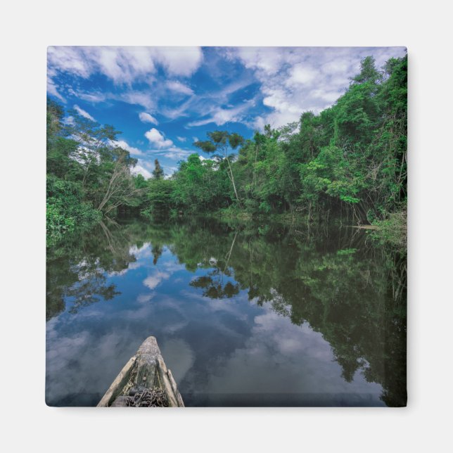 Skogar | Peruvian Jungle Forest Magnet (Framsidan)