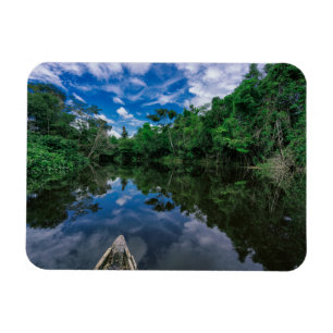 Skogar Peruvian Jungle Forest Magnet