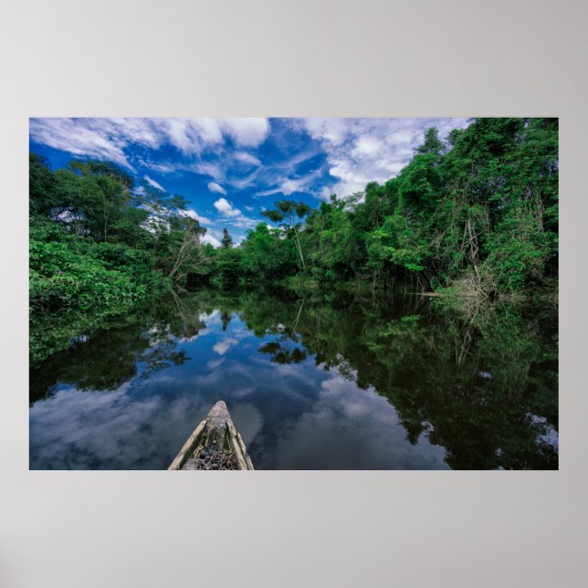 Skogar | Peruvian Jungle Forest Poster (Framsidan)