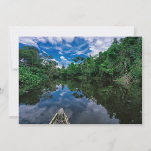Skogar Peruvian Jungle Forest Tack Kort