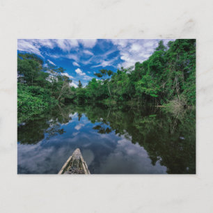 Skogar Peruvian Jungle Forest Vykort
