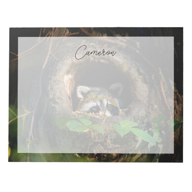Skogar | Raccoon Peeking Anteckningsblock (Framsida)
