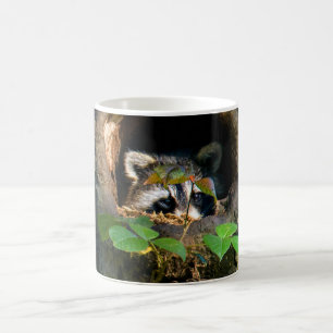 Skogar Raccoon Peeking Kaffemugg