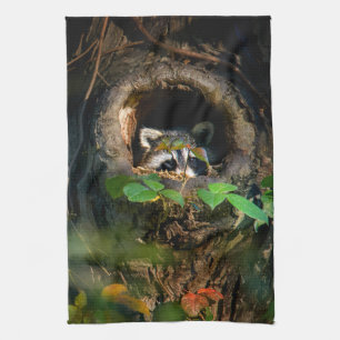 Skogar   Raccoon Peeking Kökshandduk