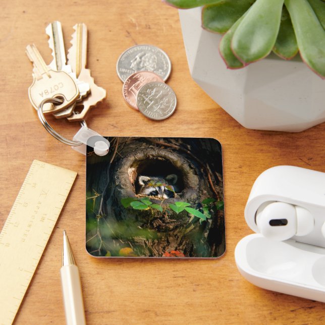 Skogar | Raccoon Peeking Nyckelring (Skrivbord)