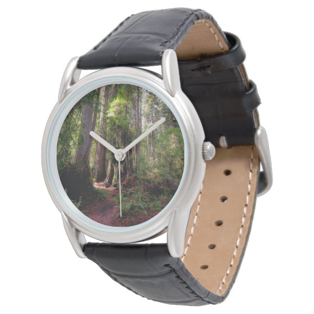 Skogar | Redwood Forest California Armbandsur (Vinklad)