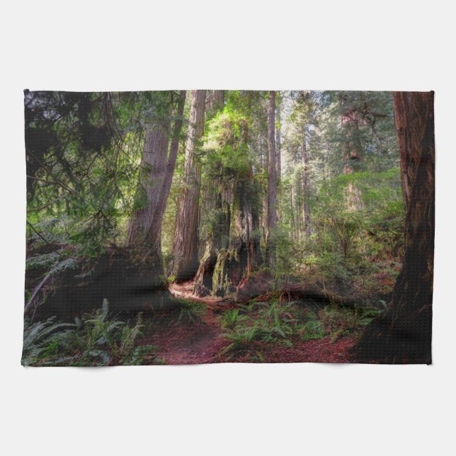 Skogar | Redwood Forest California Kökshandduk (Horisontell)