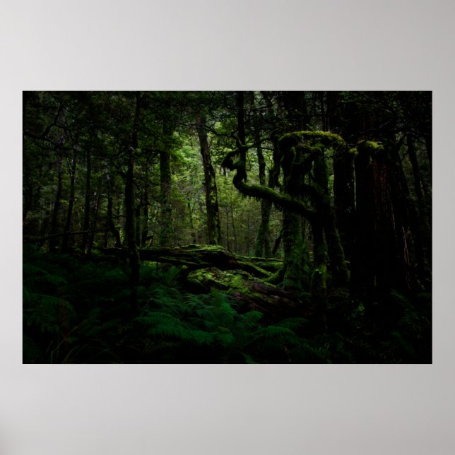 Skogar | Routeburn Track Fiordland nationalpark Poster (Framsidan)