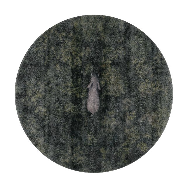 Skogar | Spelreservat i Lalibela (Framsidan)