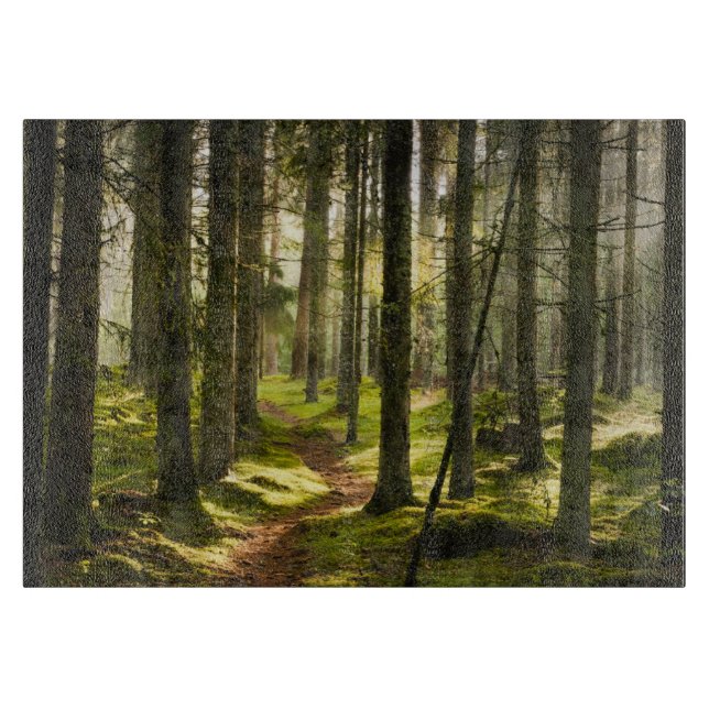Skogar | Sverigen Boreal Forest (Framsidan)