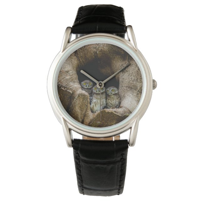 Skogar | Tre Ugglor Tittar Armbandsur (Framsida)