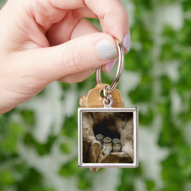 Skogar | Tre Ugglor Tittar Fyrkantig Silverfärgad Nyckelring (Hand)