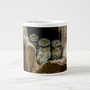 Skogar Tre Ugglor Tittar Jumbo Mugg