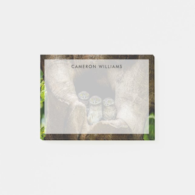 Skogar | Tre Ugglor Tittar Post-it Block (Framsida)