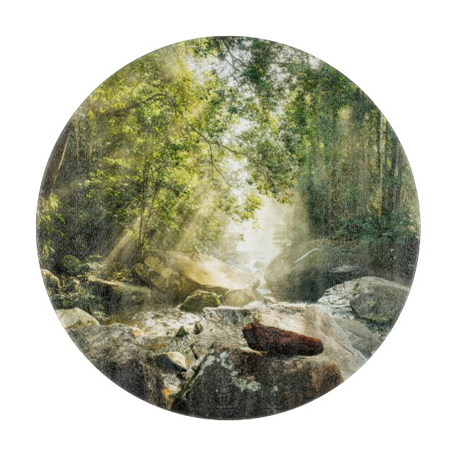 Skogar | Tropical Jungle Forest (Framsidan)