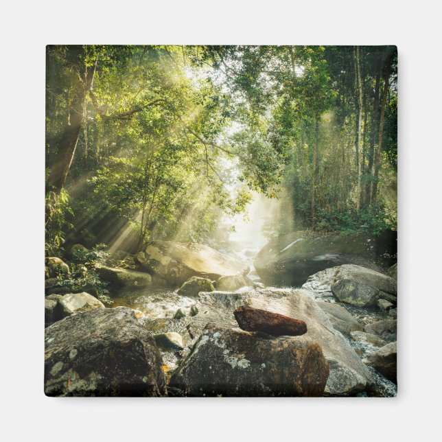 Skogar | Tropical Jungle Forest Magnet (Framsidan)