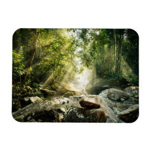 Skogar Tropical Jungle Forest Magnet