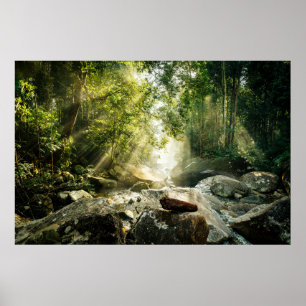 Skogar Tropical Jungle Forest Poster