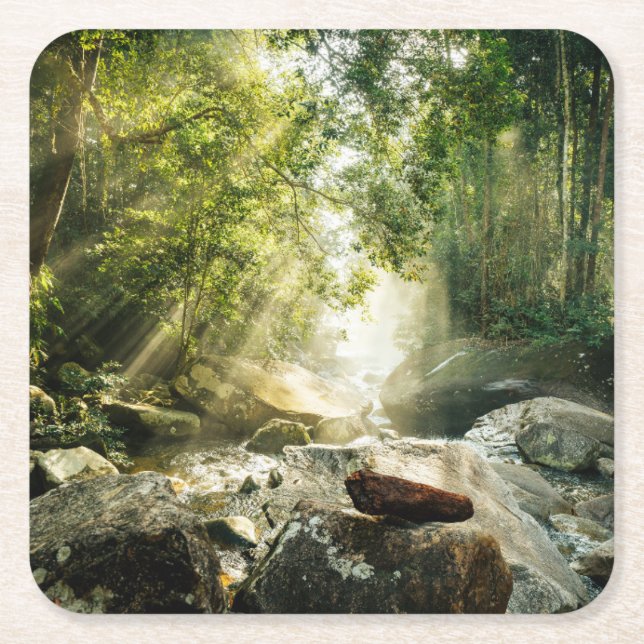 Skogar | Tropical Jungle Forest Underlägg Papper Kvadrat (Framsidan)