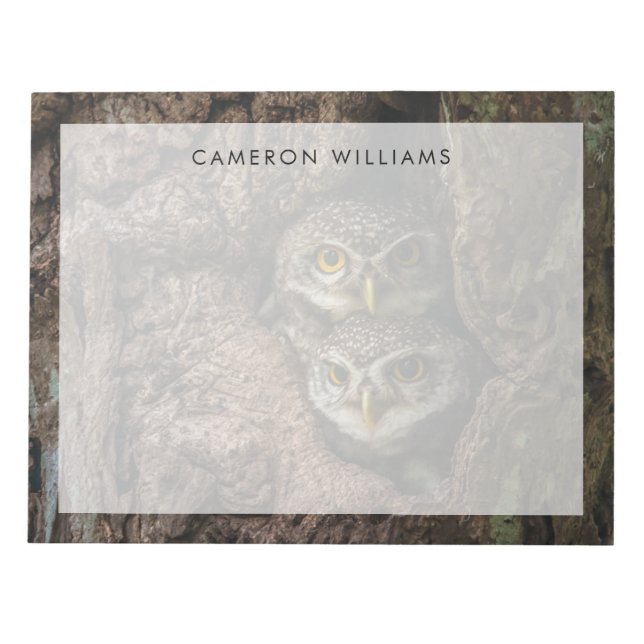 Skogar | Två Uggla Tittar Anteckningsblock (Framsida)