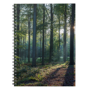 Skogar Tyskland svart skog Anteckningsbok