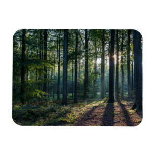 Skogar Tyskland svart skog Magnet